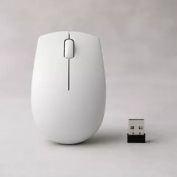 Ratón compacto inalámbrico Lenovo Compact Mouse con batería – ambidiestro, 1000 DPI, inalámbrico RF, 3 botones, gris