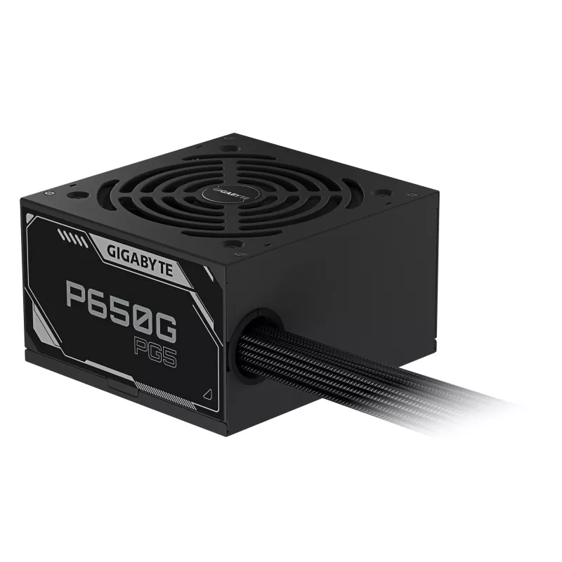 GIGABYTE P650G Fuente de alimentación PCIE 5.1 – PCIe 5.1, 80 PLUS Silver, ventilador de 120mm, compatible con ATX 3.1, enchufe EU