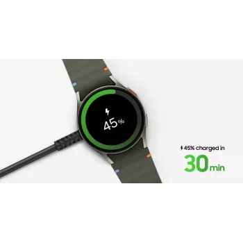 Samsung EP-OL300 Smartwatch Negro USB carga inalámbrica carga rápida interior