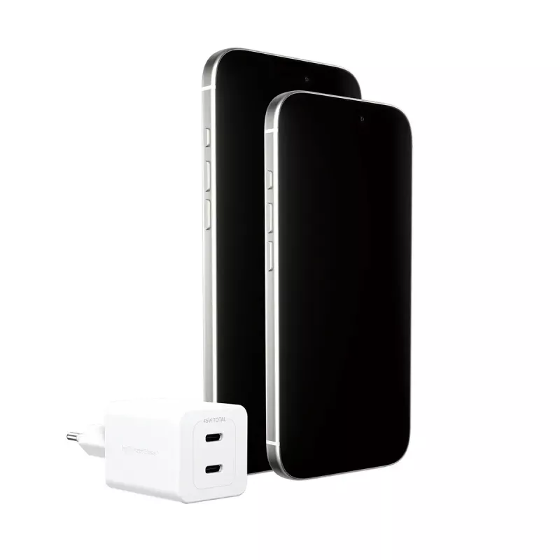 PanzerGlass empower™ by ® Cargador Turbo 45W incl. 2 x USB-C | enchufe EU | blanco plateado