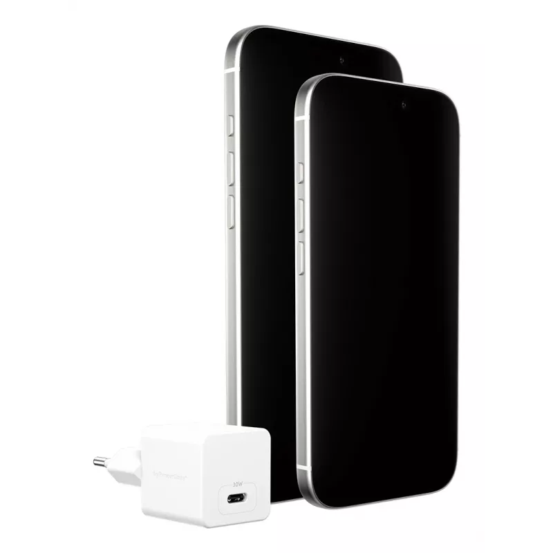 PanzerGlass empower™ by ® Cargador Turbo 30W USB-C único | Enchufe EU | Blanco plateado