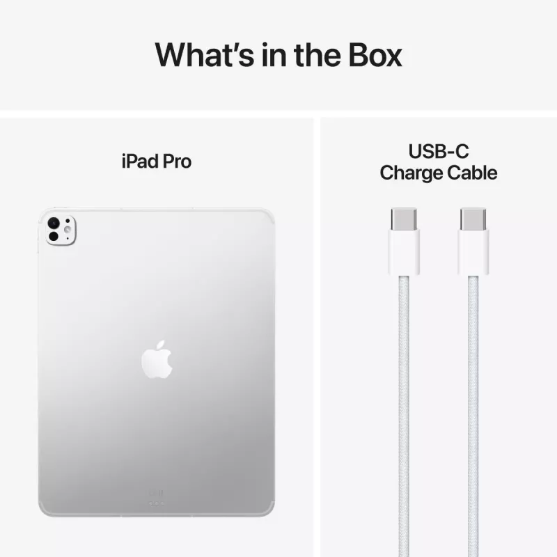 APPLE iPad Pro M5 - 13 pulgadas - Wi-Fi + Cellular - 256 GB - Vidrio estándar - Plata