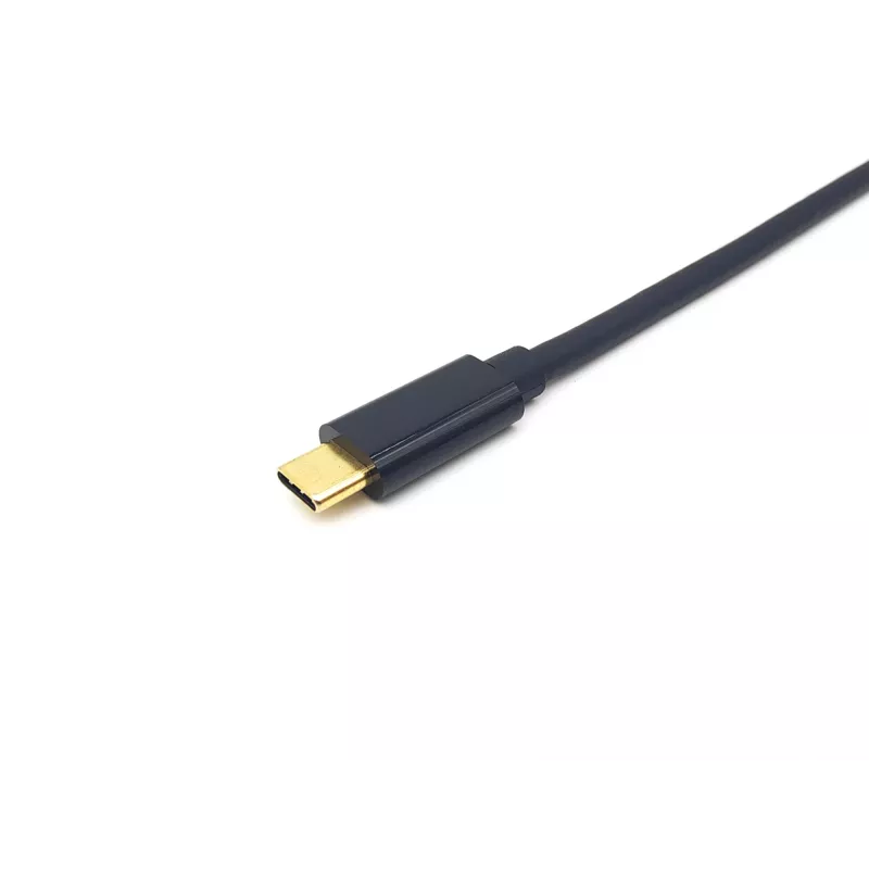 Equip cable USB-C a DisplayPort, macho/macho, 2,0 m, 4K/60Hz