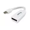 Equip adaptador Mini DisplayPort a DisplayPort 133440