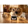 Cámara de vigilancia Enabot Family Robot cámara IP ROLA PetPal WH287304