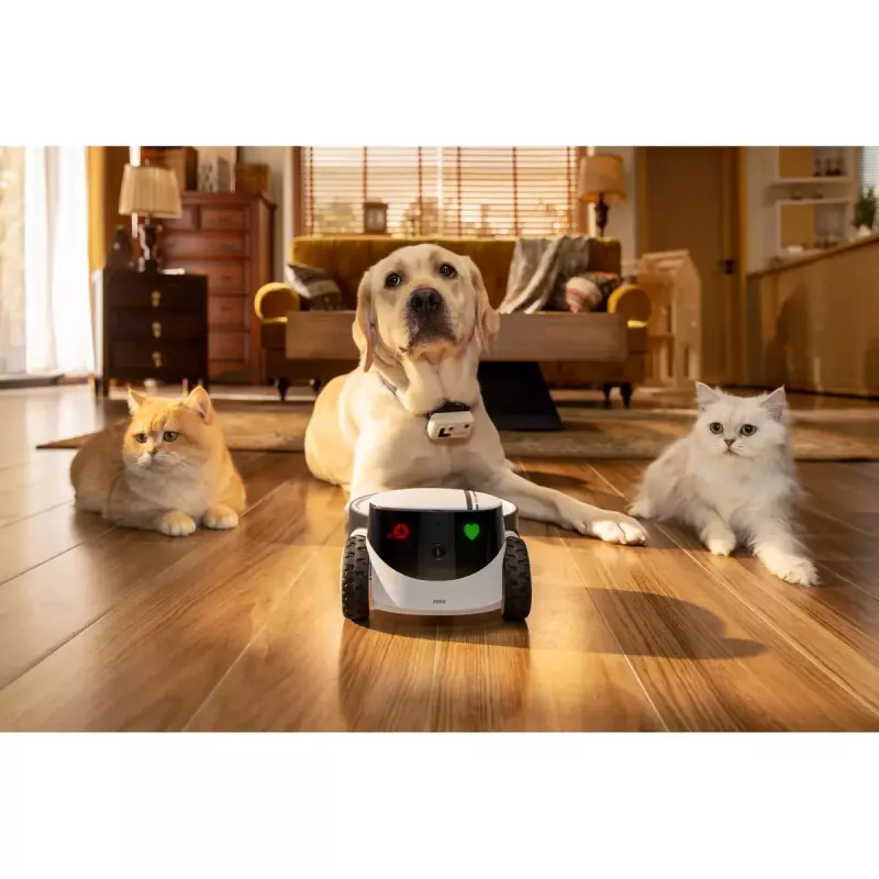 Cámara de vigilancia Enabot Family Robot cámara IP ROLA PetPal WH287304