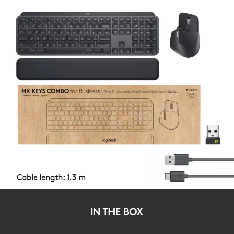 LOGITECH MX Keys Combo For Business Gen 2 - Graphite - Qwertz - alemán
