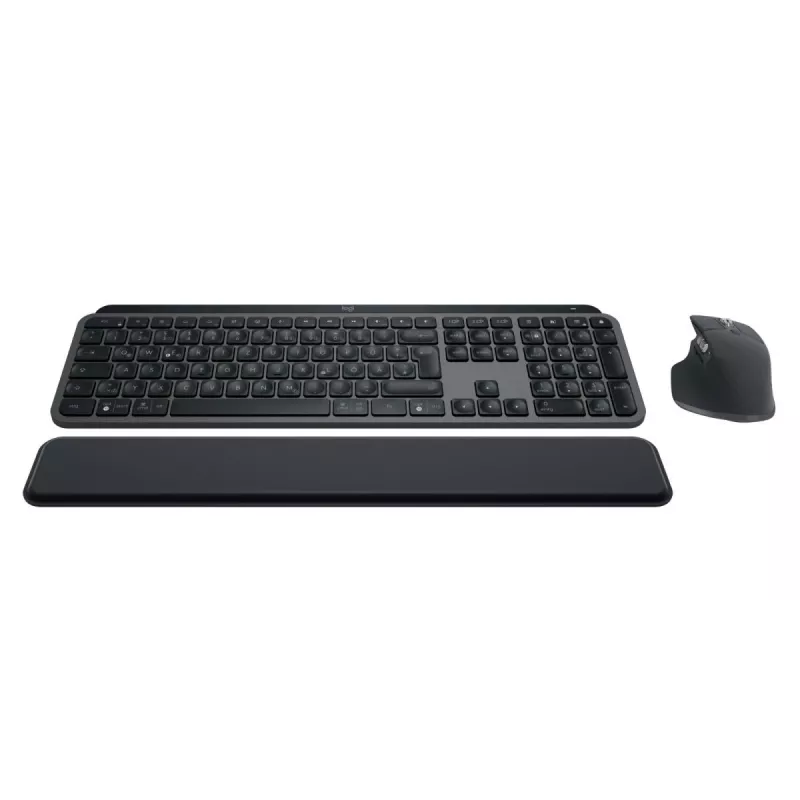 LOGITECH MX Keys Combo For Business Gen 2 - Graphite - Qwertz - alemán