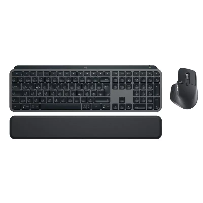 LOGITECH MX Keys Combo For Business Gen 2 - Graphite - Qwertz - alemán