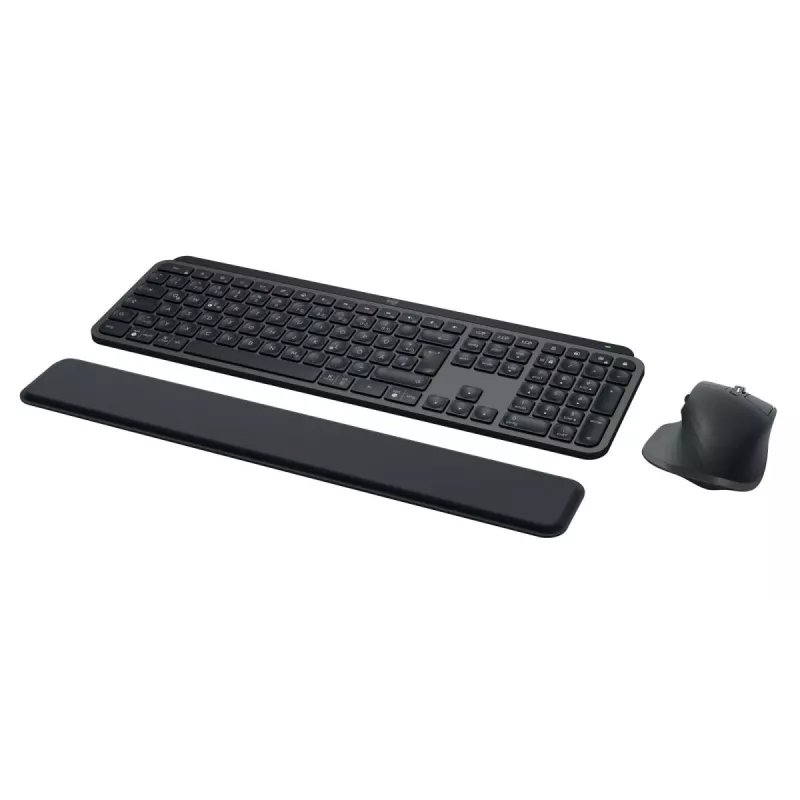 LOGITECH MX Keys Combo For Business Gen 2 - Graphite - Qwertz - alemán