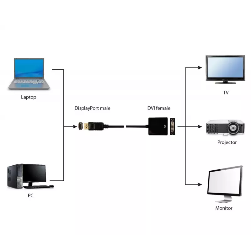 Cable adaptador GEMBIRD DisplayPort a DVI — Negro