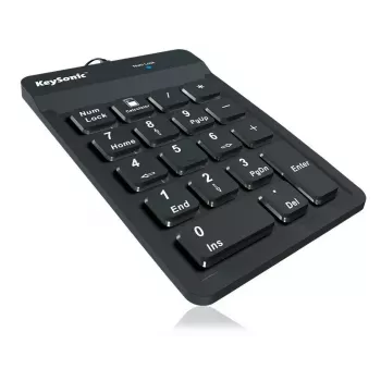 Teclado numérico KeySonic ACK-118BK universal USB negro