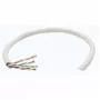 Cable de red Cat6 a granel Intellinet, 23 AWG, hilo macizo, 305 m, gris, CCA, U/UTP, caja