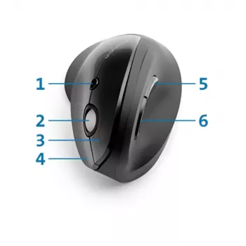 Ratón Kensington Pro Fit Ergo Vertical Wireless RF Inalámbrico