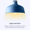 TP-Link Tapo Bombilla inteligente Wi-Fi, regulable