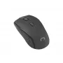 Ratón óptico inalámbrico NATEC Jay 2 RF — 2,4 GHz, 1600 DPI, ambidiestro, 4 botones, negro