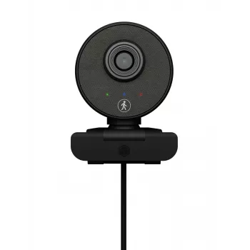 Webcam ICY BOX IB-CAM501-HD 1920 x 1080 píxeles USB 2.0 negra