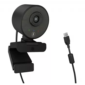 Webcam ICY BOX IB-CAM501-HD 1920 x 1080 píxeles USB 2.0 negra