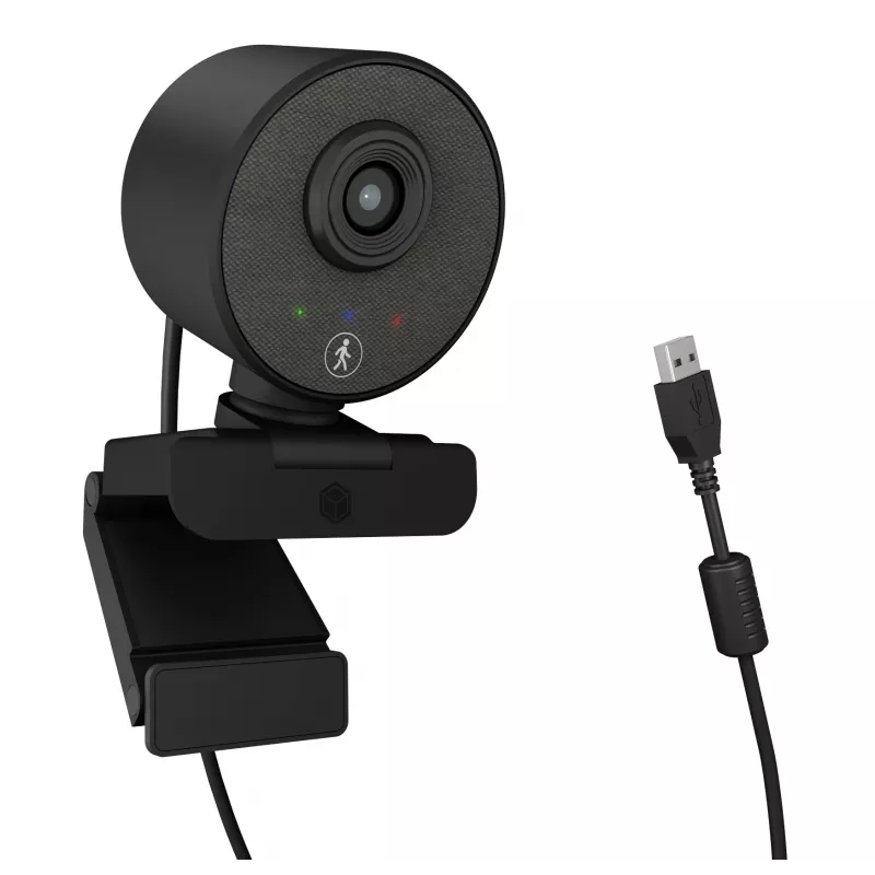 Webcam ICY BOX IB-CAM501-HD 1920 x 1080 píxeles USB 2.0 negra