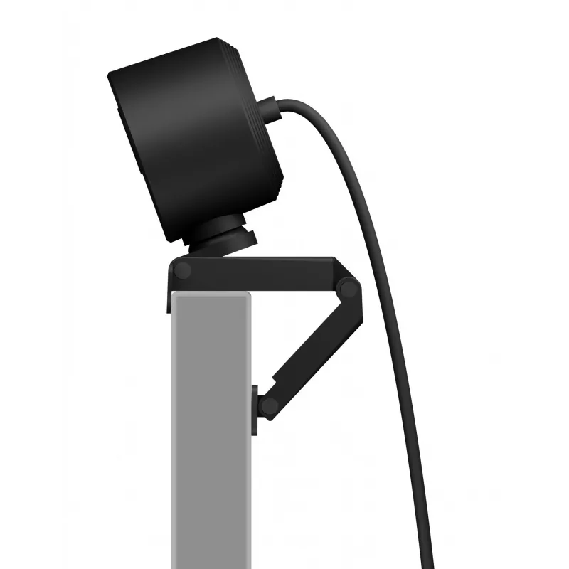 Webcam ICY BOX IB-CAM501-HD 1920 x 1080 píxeles USB 2.0 negra