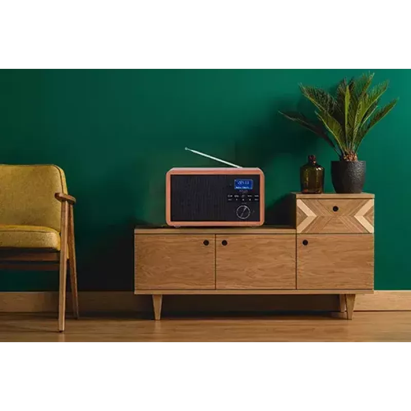 Radio portátil Adler AD 1184 con sintonizador digital DAB+/FM/AM, Bluetooth 5.0, 15W, SD/USB, despertador, negro/madera