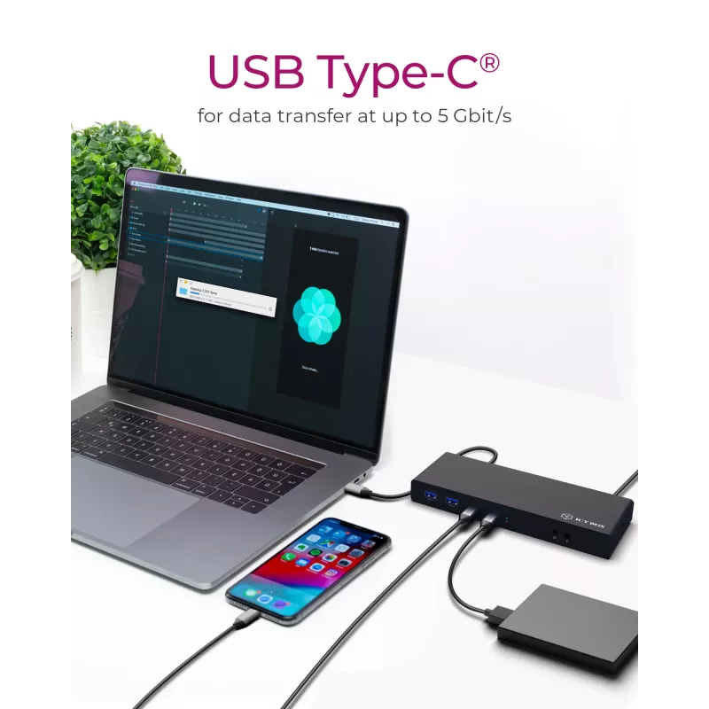 ICY BOX IB-DK2245AC cableado USB 3.2 Gen 1 (3.1 Gen 1) Type-C negro