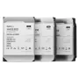 Disco duro SYNOLOGY HAS530012T - 12TB - SAS 12Gb/s - 3,5