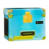 Rainbow High Accessories Studio Series 1, surtido H en bolsa PDQ Doll