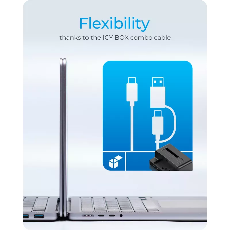 ICY BOX IB-2914MSCL-C31 USB 3.2 Gen 2 (3.1 Gen 2) Type-C negro