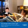 TP-Link Tapo Bombilla inteligente, Multicolor, Matter, bombilla inteligente, Wi-Fi/Bluetooth, blanca, 802.11b, 802.11g, Wi-Fi 4 (802.11n), WPA-PSK, WPA2-PSK, WPA3-SAE, LED