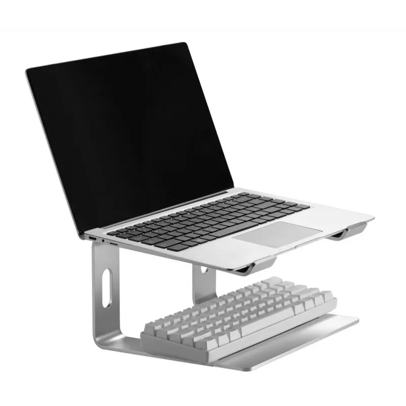 Soporte para portátil Gembird NBS-D1-01 Aluminio Plata para portátiles de hasta 39,6 cm (15,6