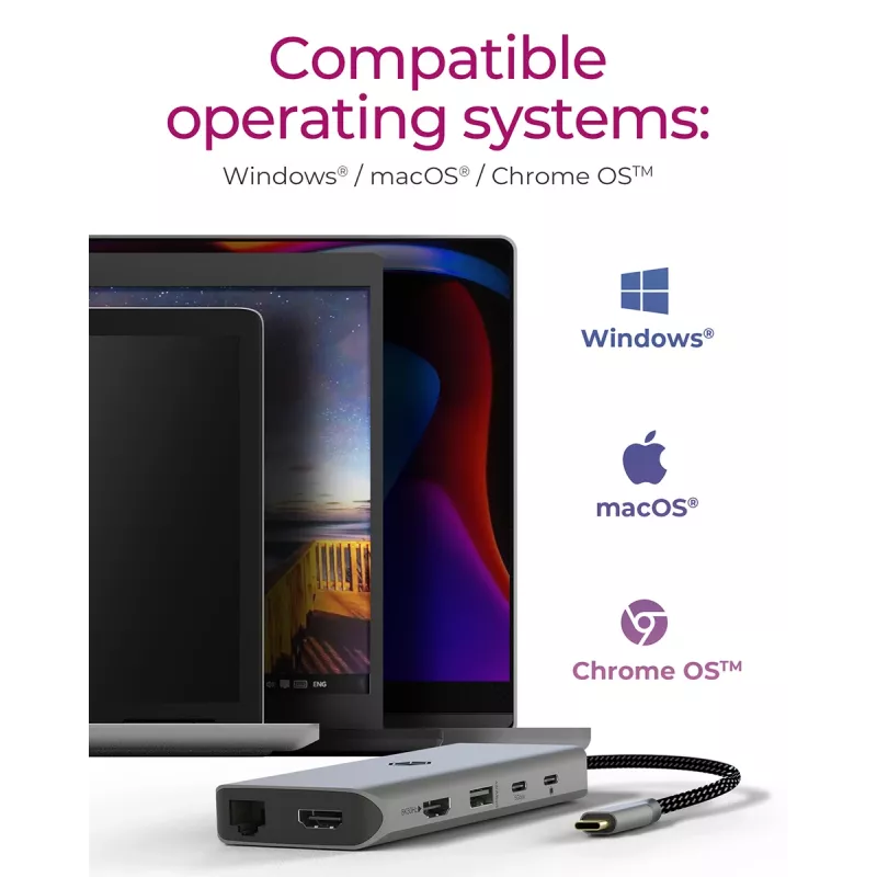 ICY BOX IB-DK4061-CPD con cable USB 3.2 Gen 1 (3.1 Gen 1) Type-C gris