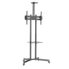 Techly ICA-TR216T soporte móvil con ruedas para TV de 37–70 pulgadas (hasta 177,8 cm), máx. 50 kg, 2 estantes, negro