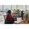 HP Poly Blackwire 3325 auriculares estéreo USB-C + conector de 3,5 mm + adaptador USB-C/A