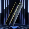LEXAR Memoria de sobremesa - 16GB DDR5 UDIMM 5600MT/s CL46 1.1V