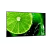 Pantalla plana digital signage NEC MultiSync E328-2 81,3 cm (32