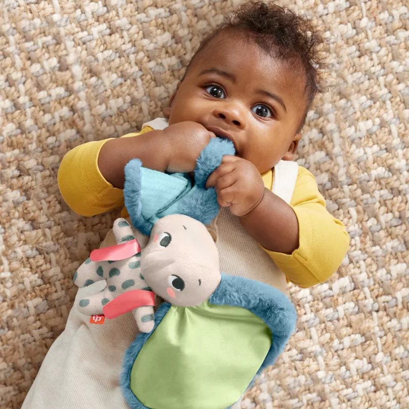 Peluche MATTEL Fisher-Price Planet Friends elefante de orejas gigantes HKD63, elefante de peluche acompañante