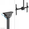 Soporte de techo para monitor/TV Neomounts CL35-440BL16L 37-70 inch - H 106-156 cm