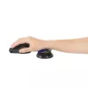 Kensington K62439WW Slim Duo Gel reposamuñecas para ratón/trackball, 192 x 72 x 22 mm, azul
