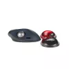 Kensington K62440WW Slim Duo Gel reposamuñecas para ratón/trackball, 192 x 72 x 22 mm, rojo
