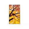 Sharp NEC MultiSync M322 (PN-M322) pantalla de señalización digital de 32 pulgadas (81,3 cm), Full HD, 450 cd/m², 24/7, negra