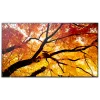 Sharp MultiSync M552 Pantalla plana Digital Signage 139.7 cm (55