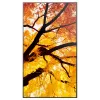 Sharp MultiSync M552 Pantalla plana Digital Signage 139.7 cm (55
