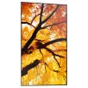 Sharp MultiSync M552 Pantalla plana Digital Signage 139.7 cm (55