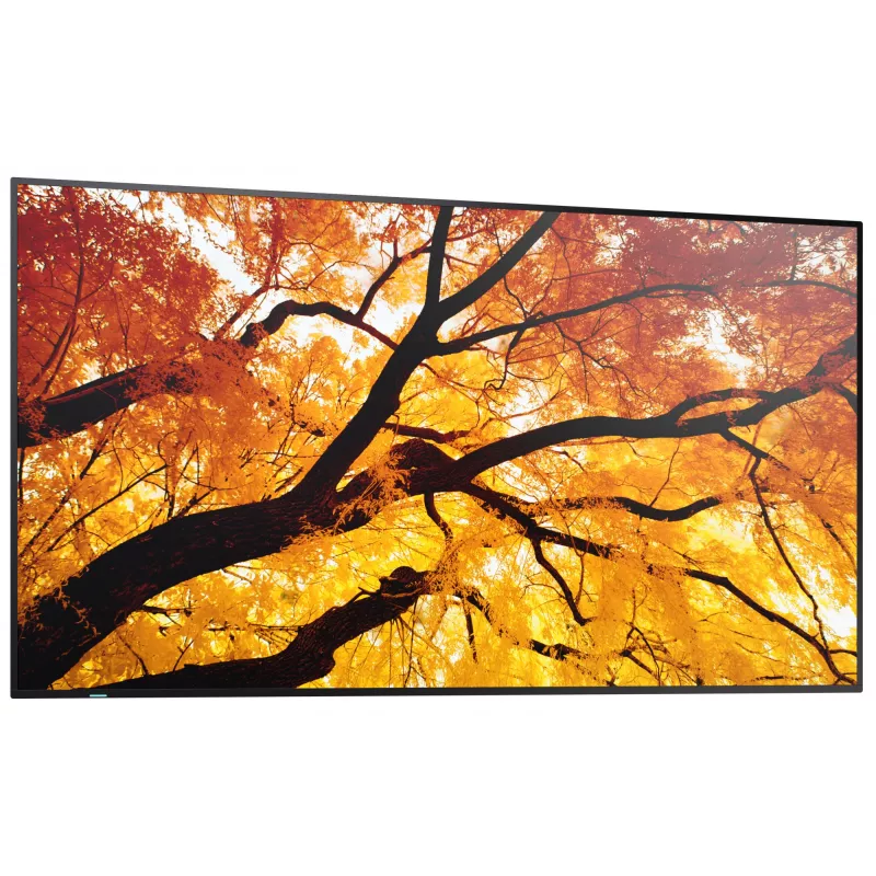 Sharp MultiSync M552 Pantalla plana Digital Signage 139.7 cm (55