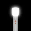 Linterna de mano Hama FL250 LED 3W aluminio plateado