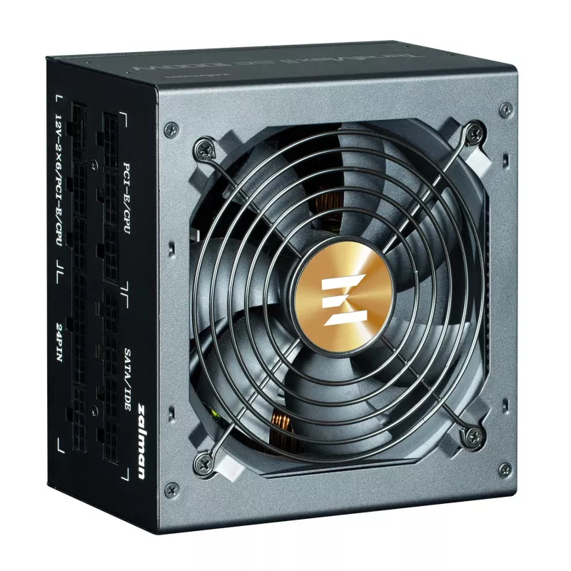 Fuente de alimentación Zalman TeramaxII SE 1000 W 18+10 pin ATX ATX negro