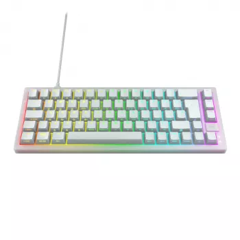 CHERRY K5V2 Teclado compacto Gaming USB QWERTZ Alemán Blanco 68 teclas RGB LED