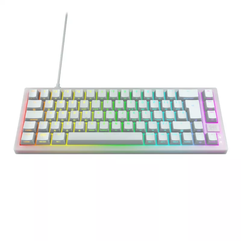 CHERRY XTRFY K5V2 RGB teclado gaming mecánico con cable compacto 65 %, CHERRY MX2A Red, distribución alemana QWERTZ, blanco