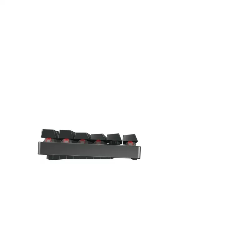 CHERRY MX 8.2 TKL Wireless RGB Teclado Gaming RF Wireless + Bluetooth QWERTZ Alemán Negro